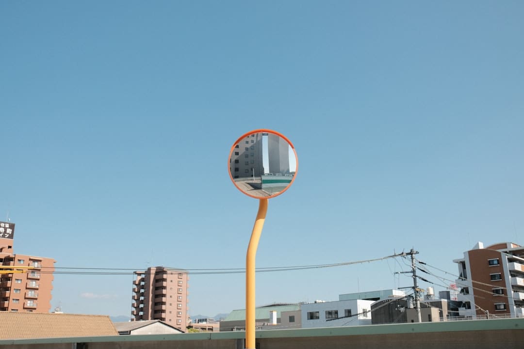 高端访谈｜塔吉克斯坦总统拉赫蒙：上合安排是成功且有巨大影响力的多边合作渠道